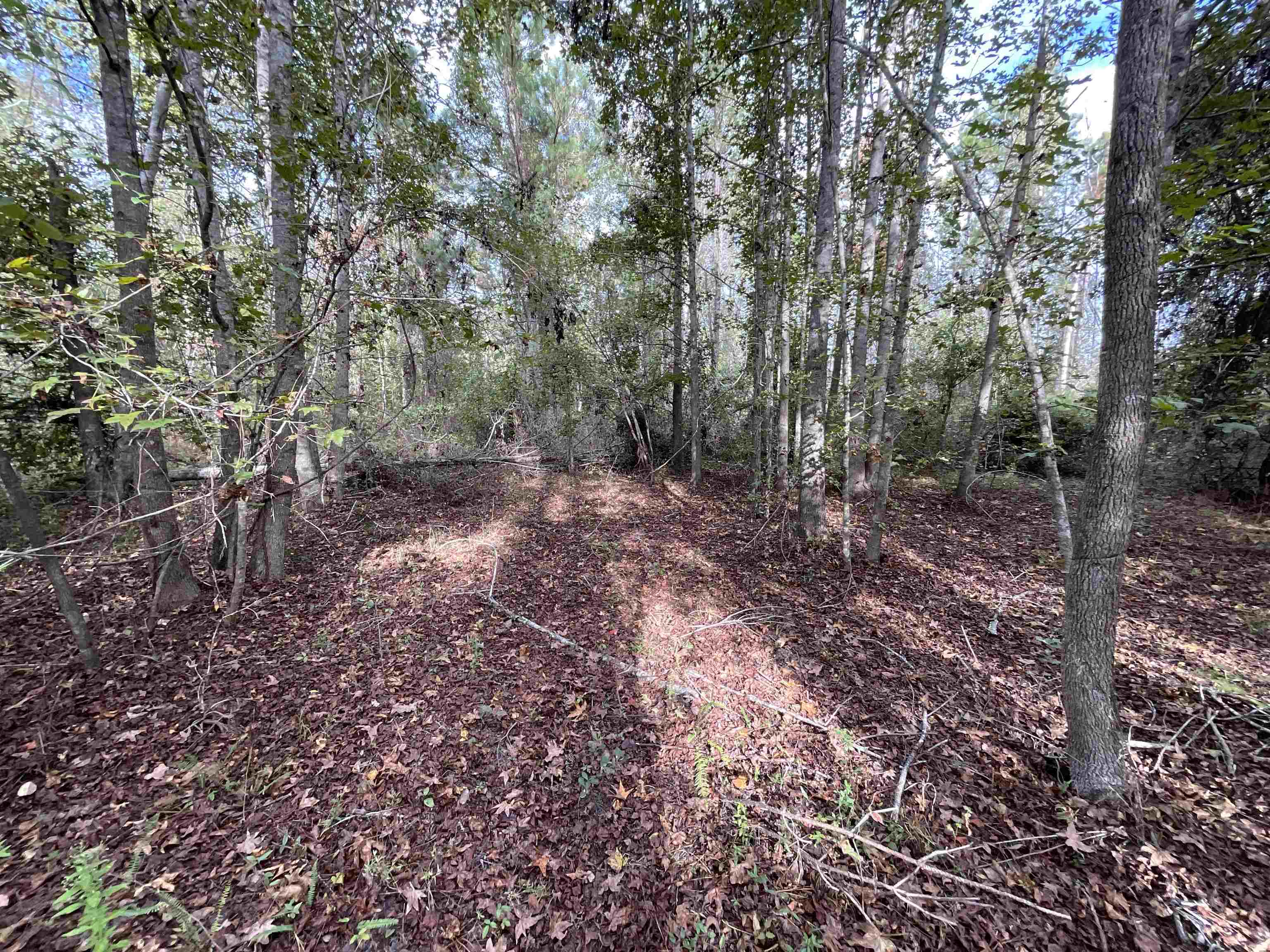 129 Northwest Jasper Jasper, FL 32052 - Photo 6 of 70