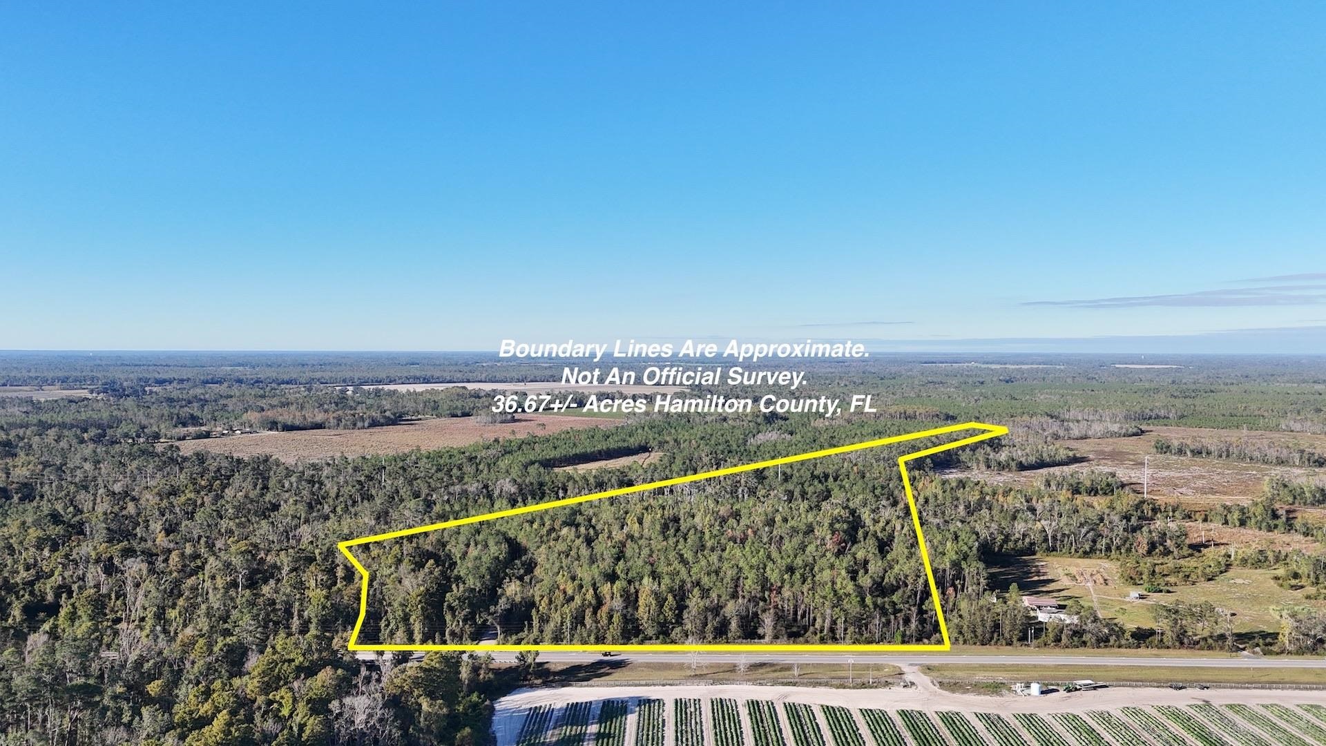 129 Northwest Jasper Jasper, FL 32052 - Photo 61 of 70