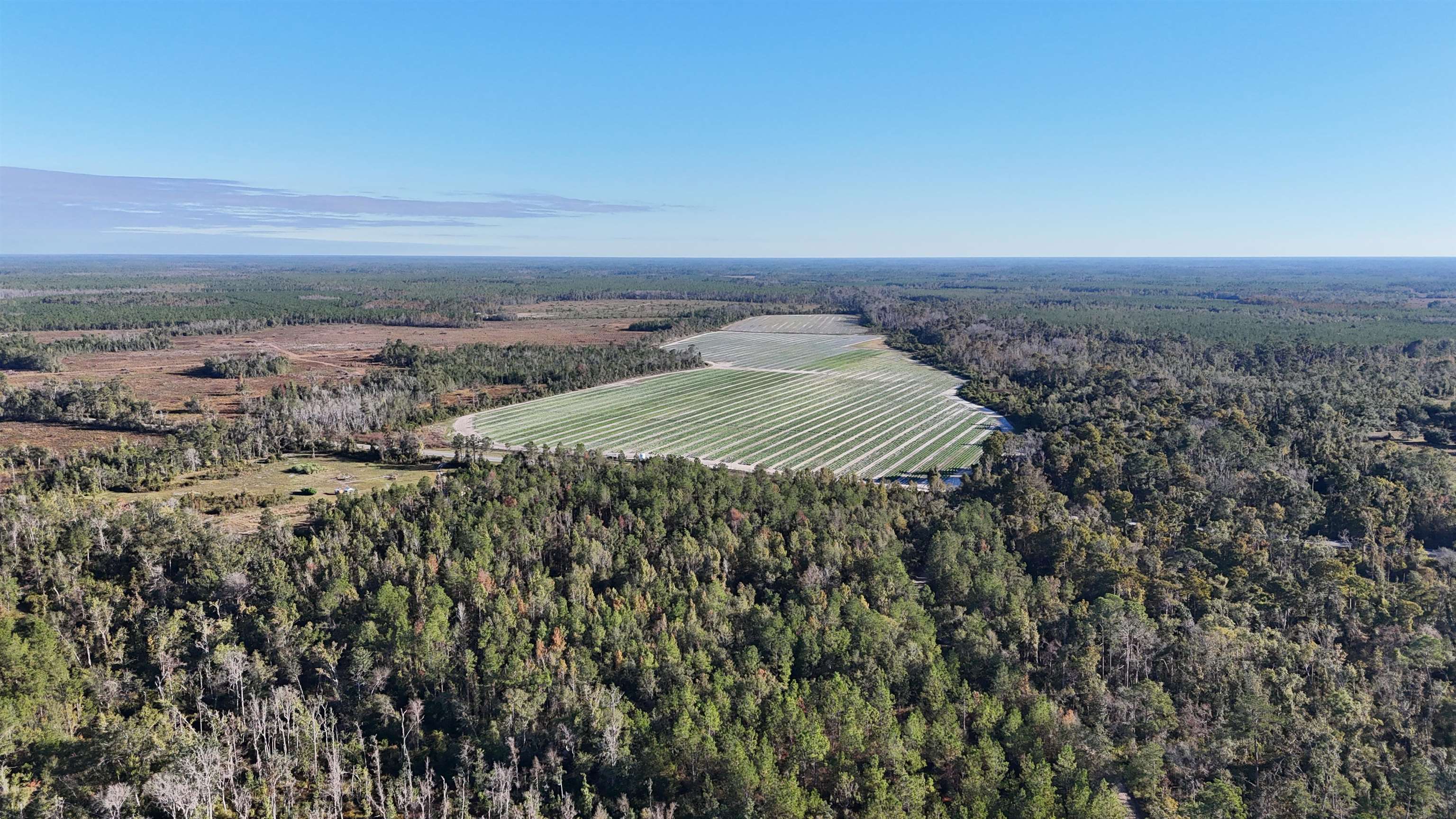 129 Northwest Jasper Jasper, FL 32052 - Photo 66 of 70