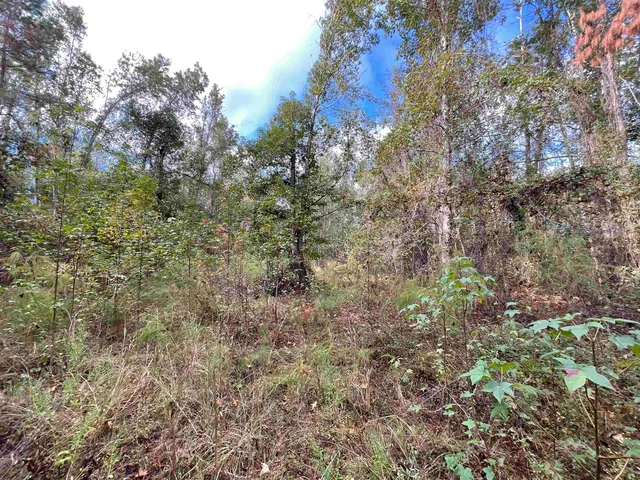 $188,400 | 129 Northwest Jasper, Jasper, FL 32052