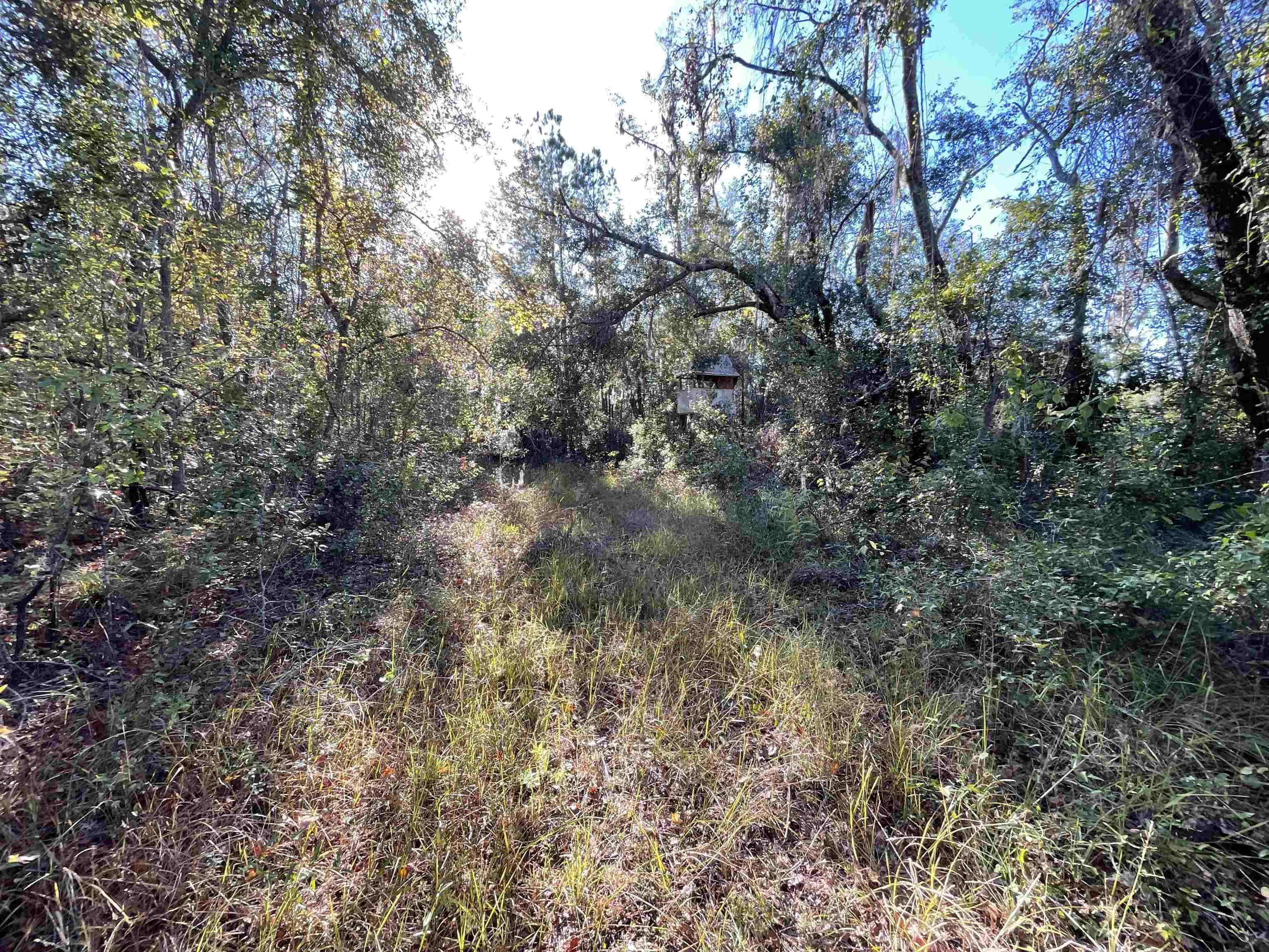 129 Northwest Jasper Jasper, FL 32052 - Photo 70 of 70