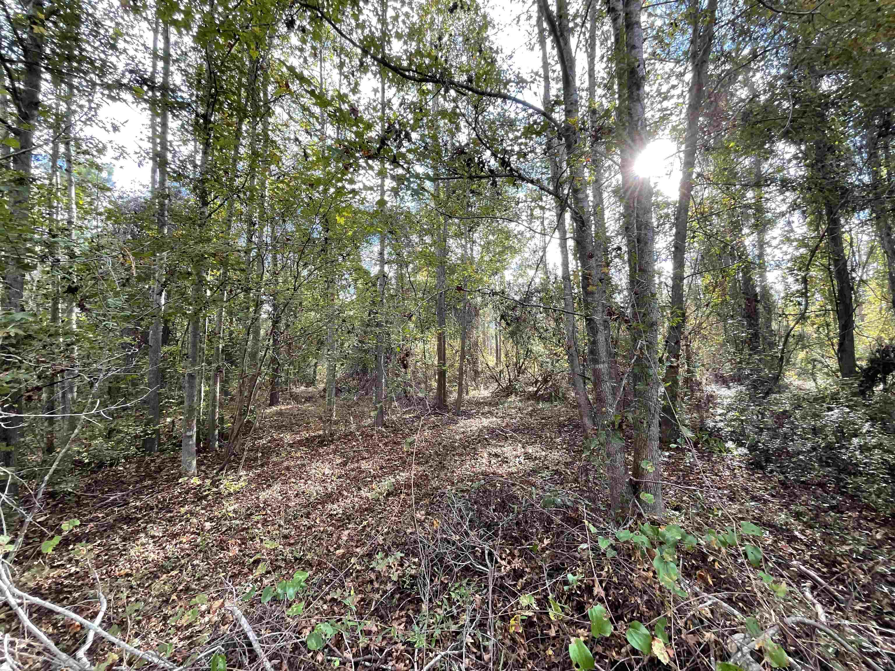 129 Northwest Jasper Jasper, FL 32052 - Photo 7 of 70