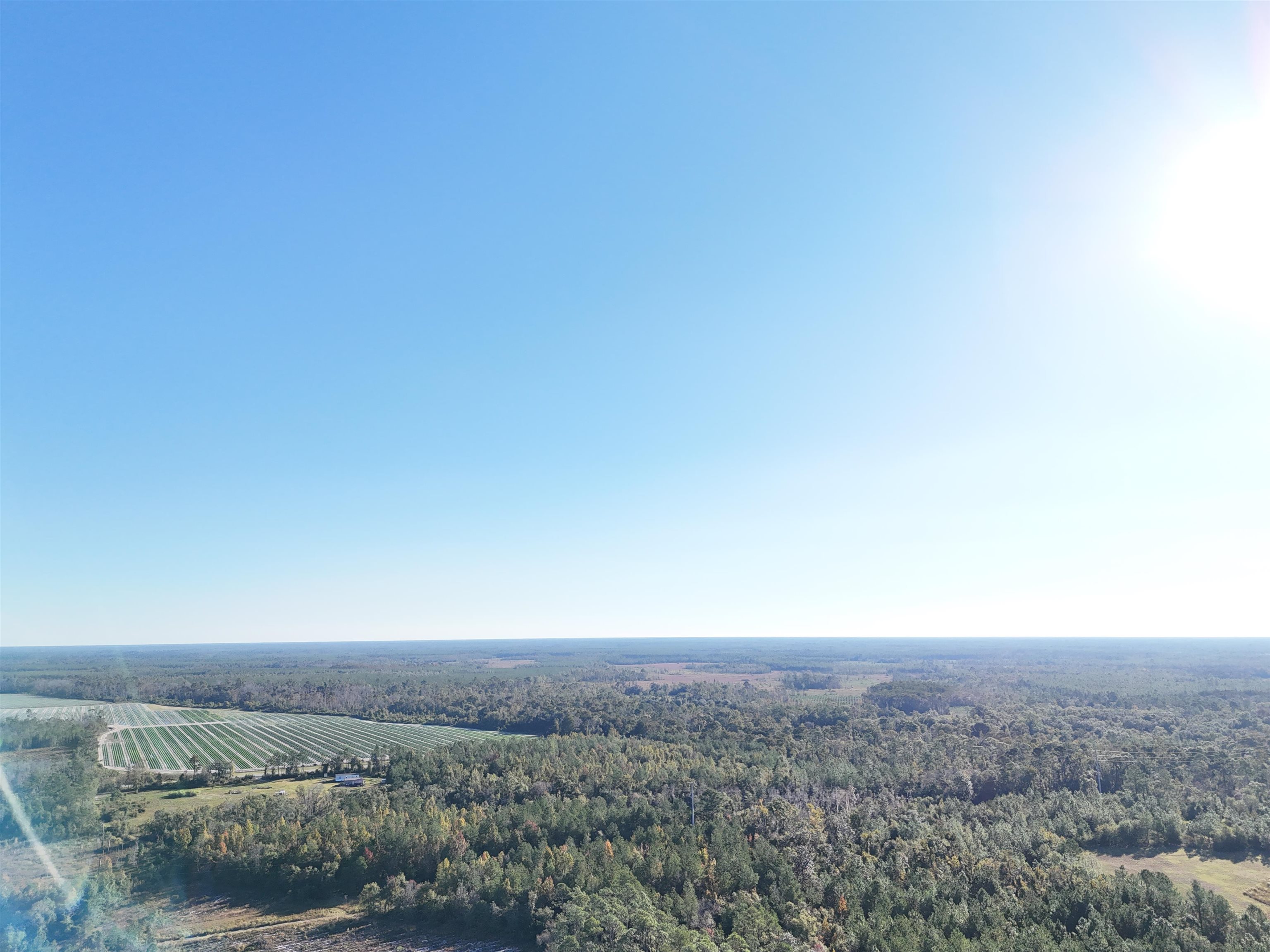 129 Northwest Jasper Jasper, FL 32052 - Photo 9 of 70