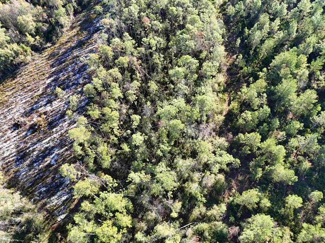 $188,400 | 129 Northwest Jasper, Jasper, FL 32052