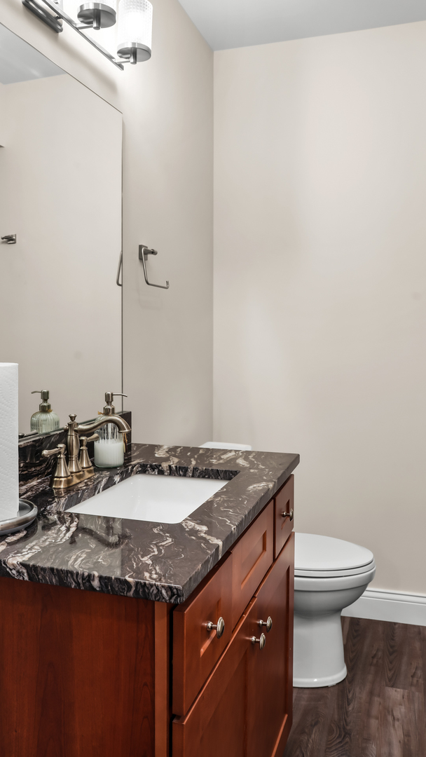 1607 Chestnut Grove Court Champaign, IL 61822 - Photo 96 of 113 a bathroom with a granite countertop sink and a toilet