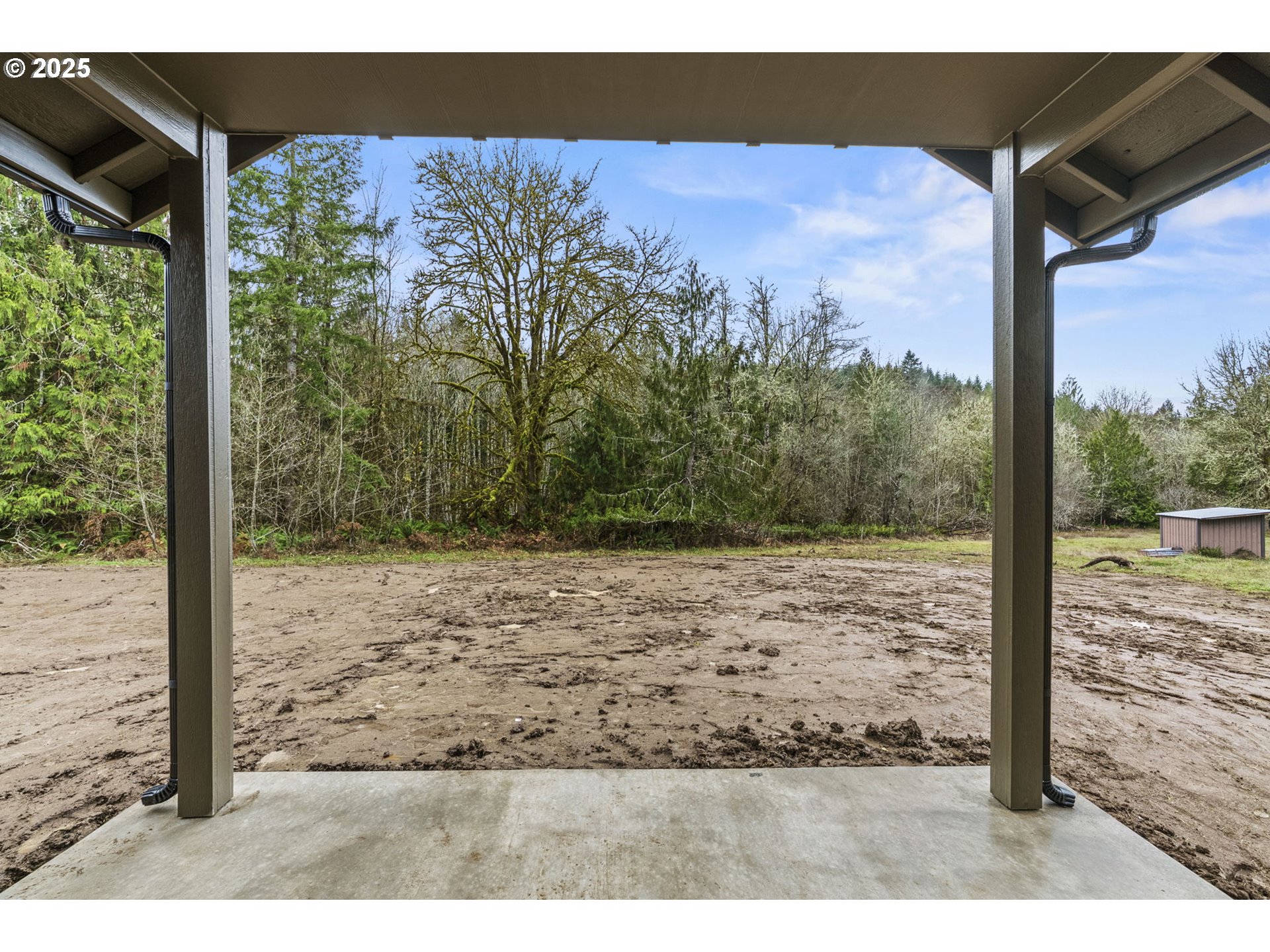 960 Paine Road Castle Rock, WA 98611 - Photo 31 of 32 a view of a backyard of a house