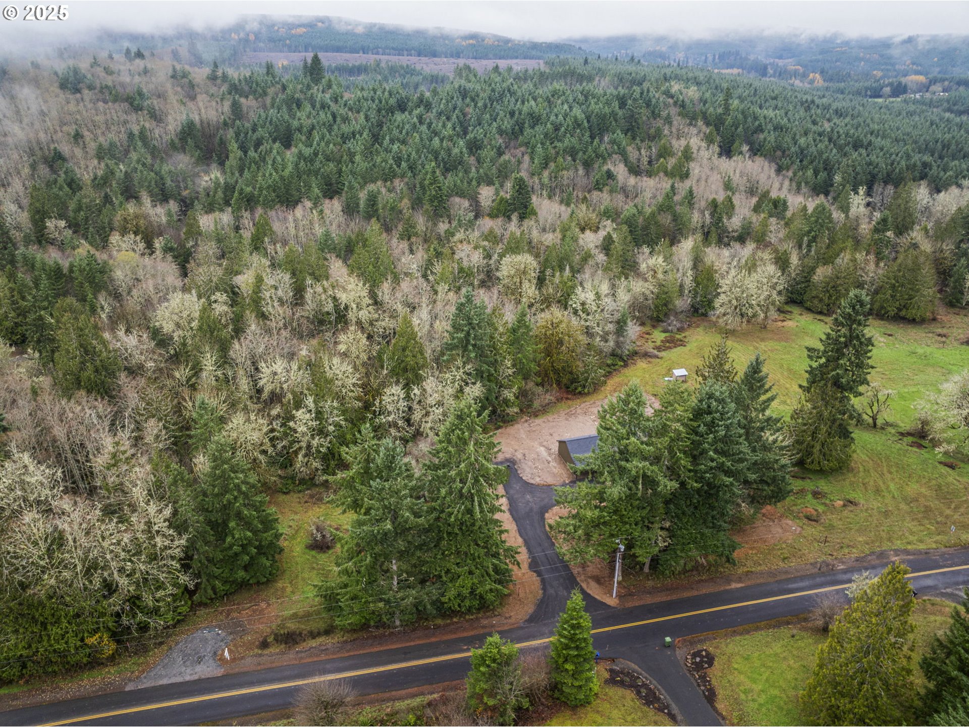 960 Paine Road Castle Rock, WA 98611 - Photo 32 of 32 a view of a green yard with large trees
