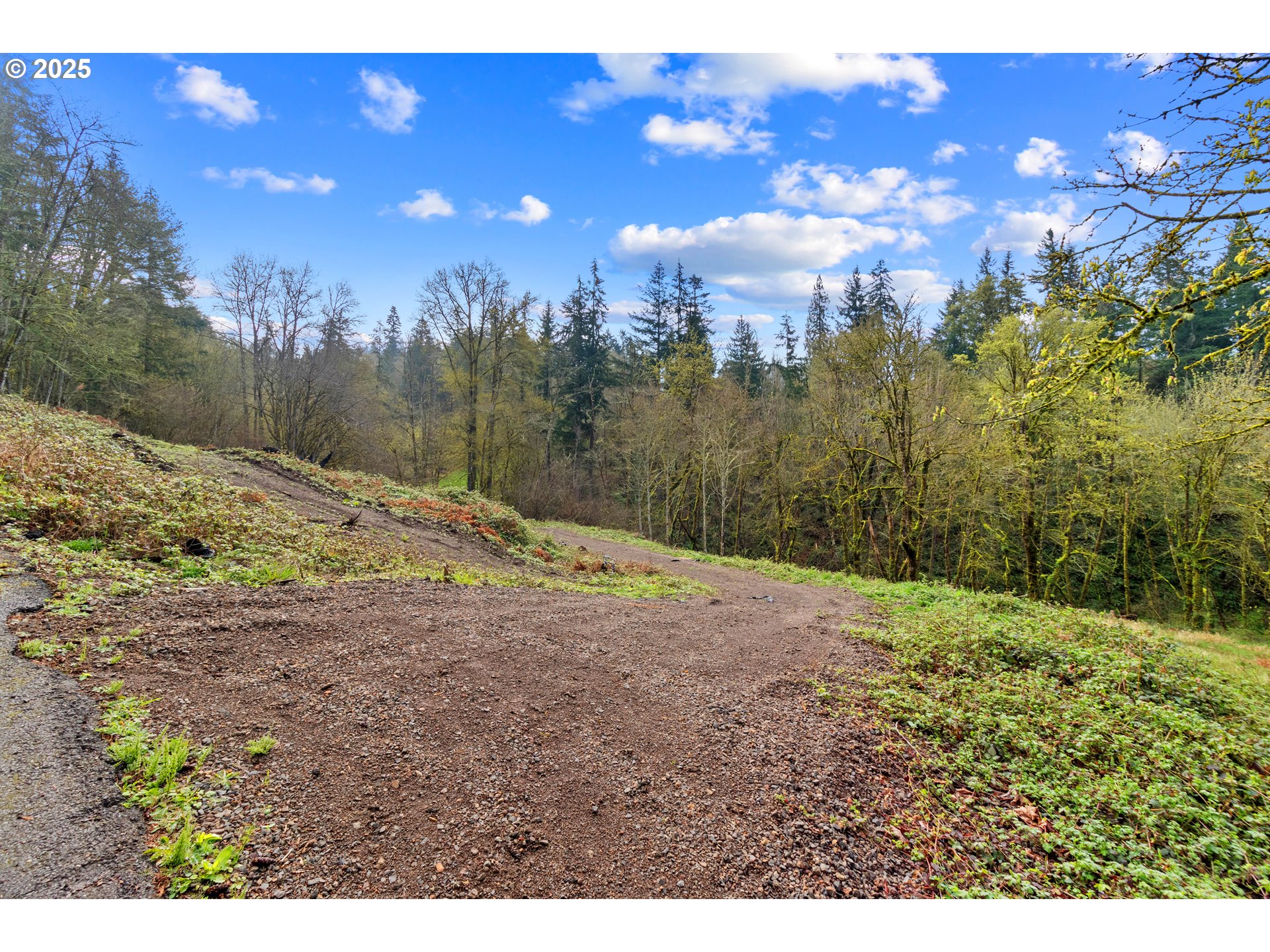 183 Feather Ridge Drive Kalama, WA 98625 - Photo 4 of 15 Gallery Image 4