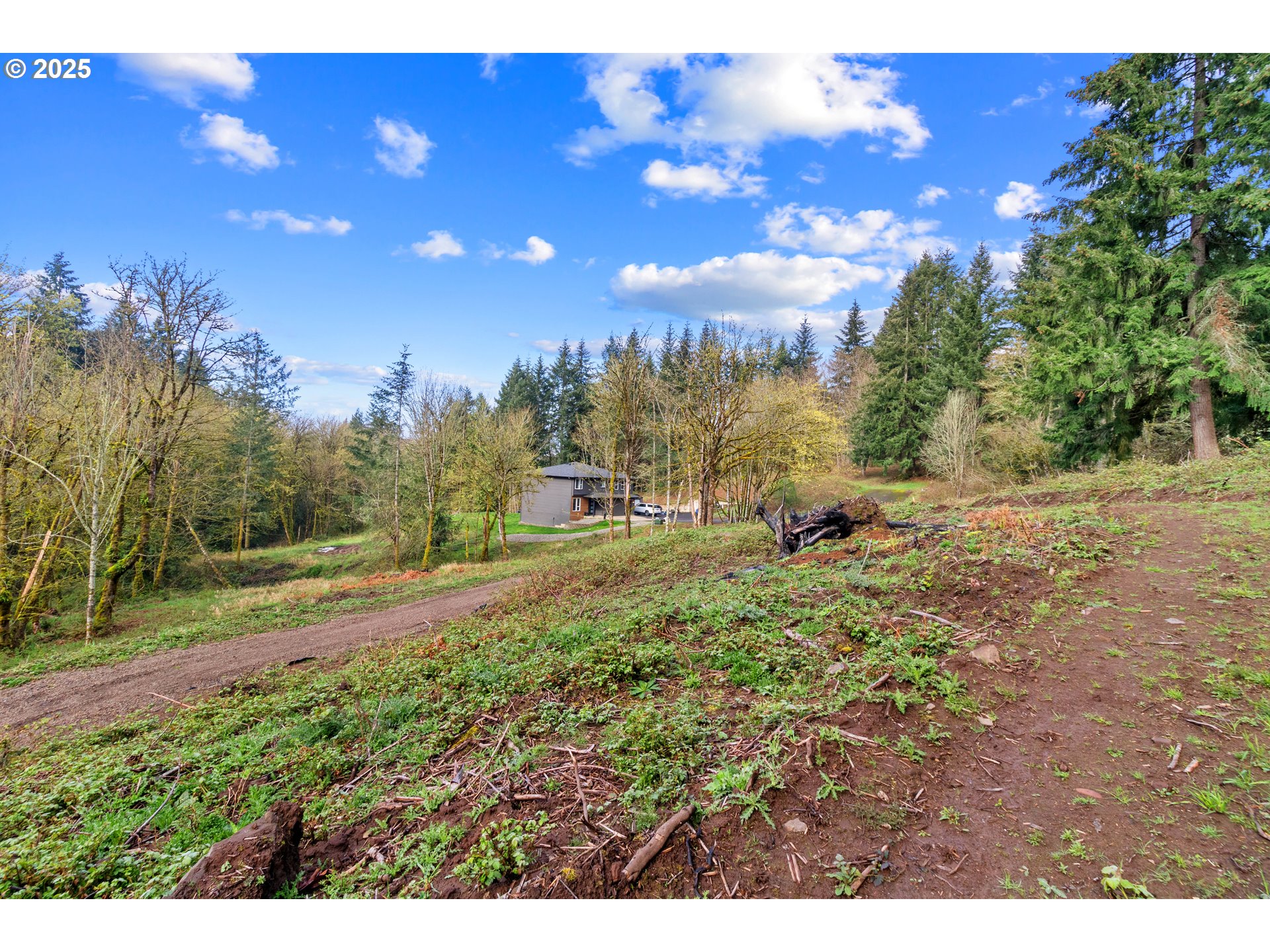 183 Feather Ridge Drive Kalama, WA 98625 - Photo 5 of 15 Gallery Image 5
