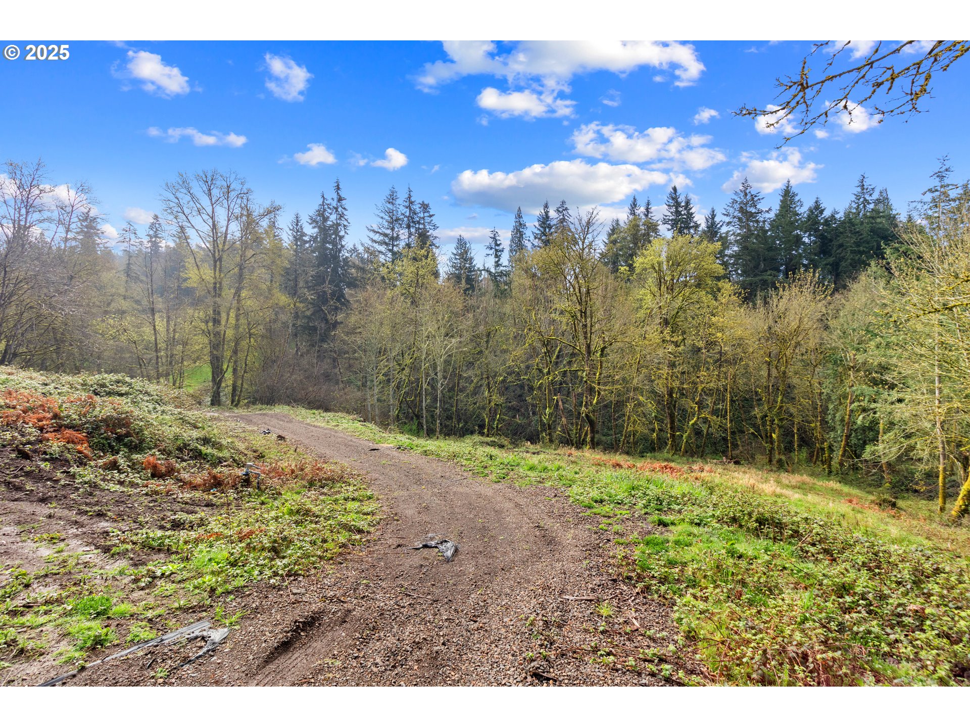 183 Feather Ridge Drive Kalama, WA 98625 - Photo 6 of 15 Gallery Image 6