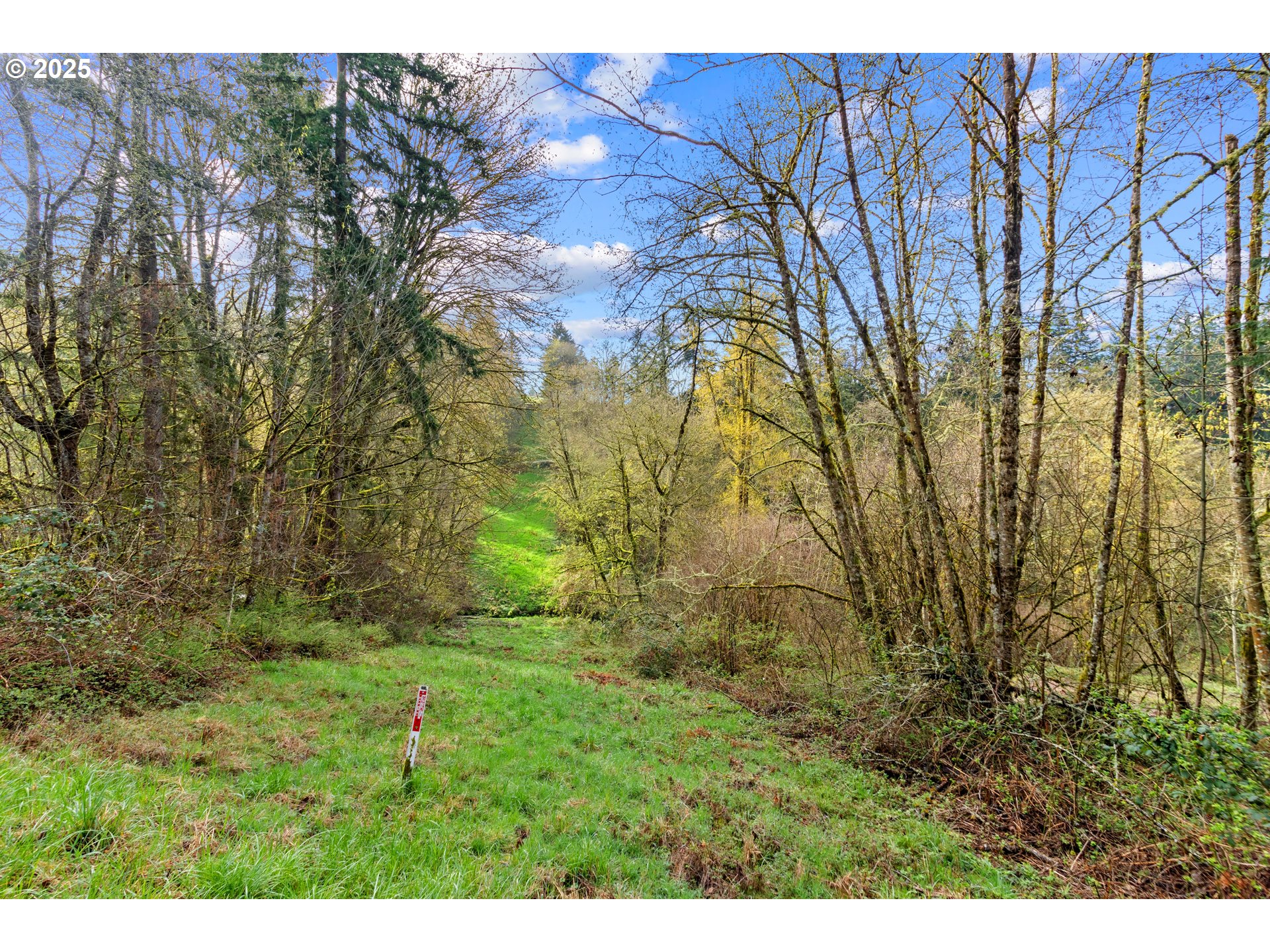 183 Feather Ridge Drive Kalama, WA 98625 - Photo 7 of 15 Gallery Image 7