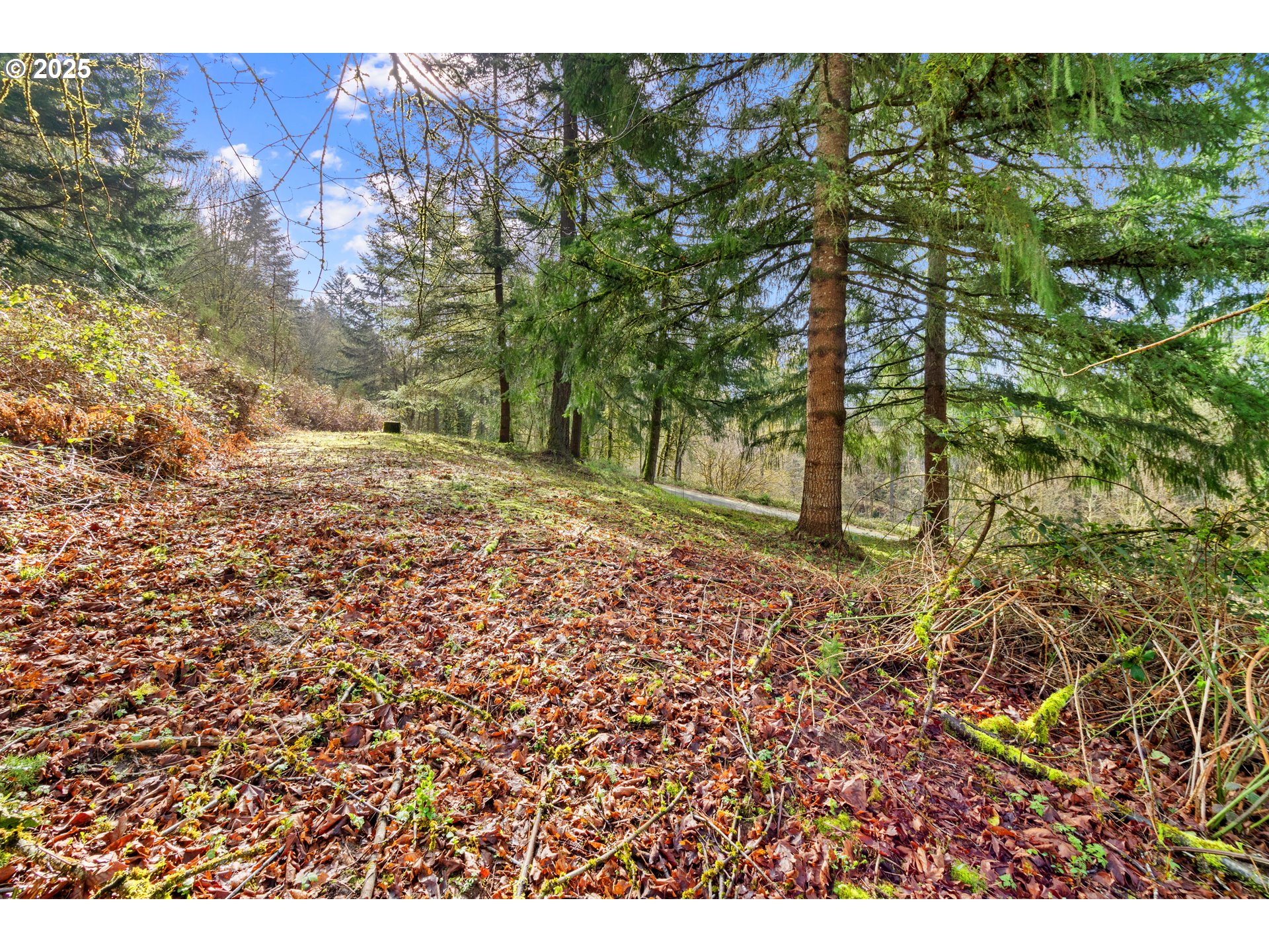 183 Feather Ridge Drive Kalama, WA 98625 - Photo 8 of 15 Gallery Image 8