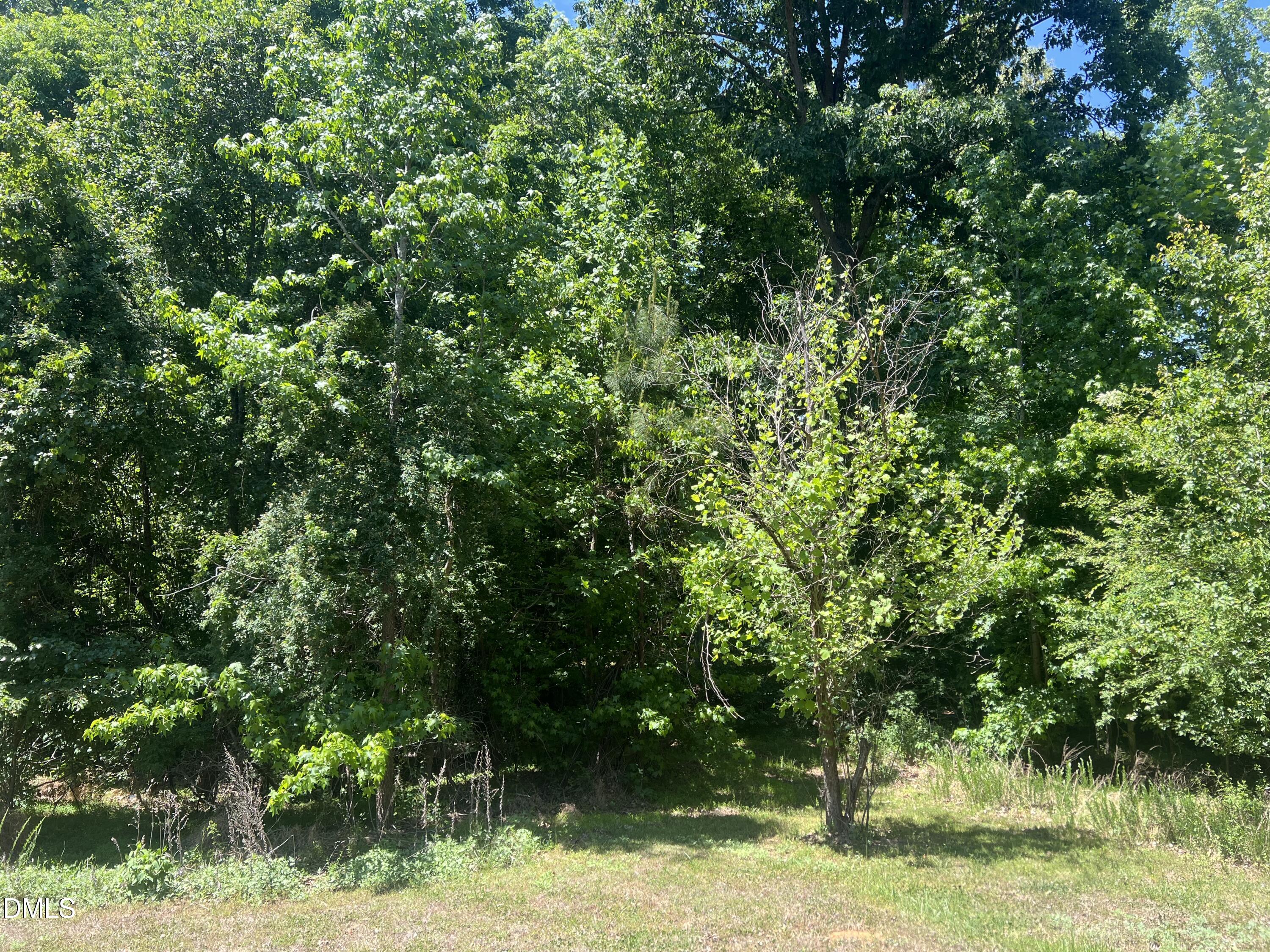 0 Jones Ferry Road Pittsboro, NC 27312 - Photo 2 of 5 IMG_3265