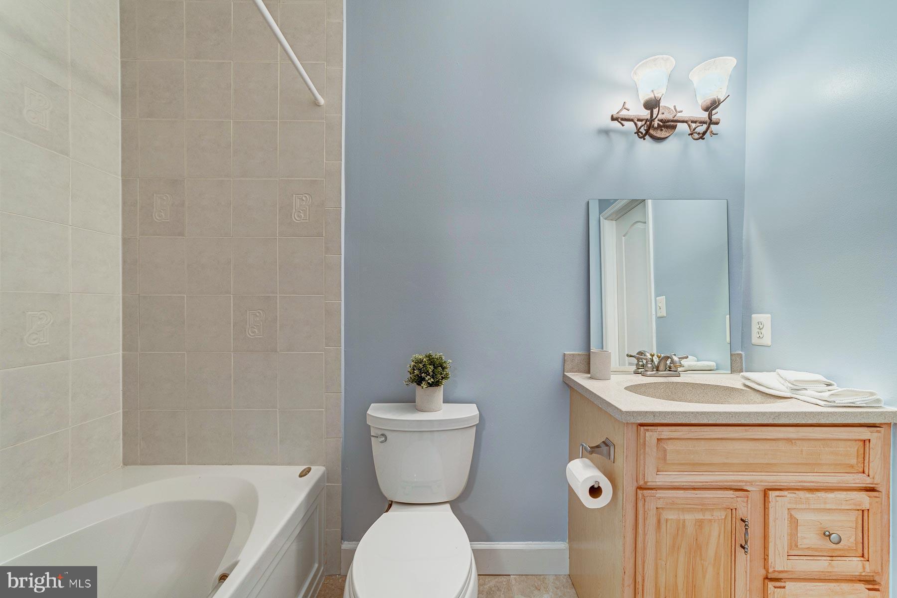 702 Ninovan Road Southeast Vienna, VA 22180 - Photo 85 of 115 Gallery Image 85