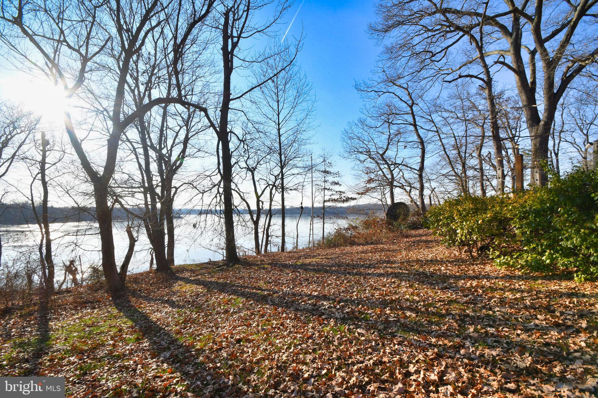 610 Otter Point Road Abingdon, MD 21009 - Photo 3 of 35 Private, treed lot