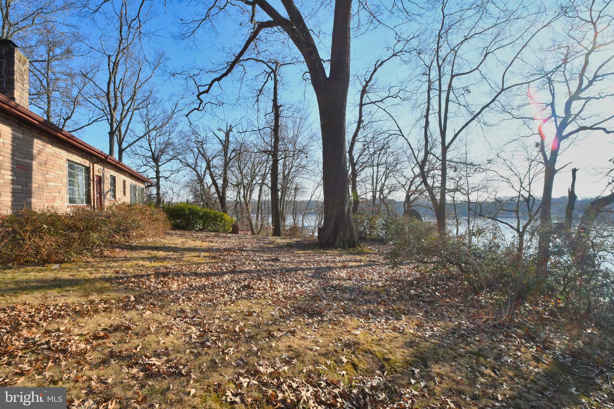 610 Otter Point Road Abingdon, MD 21009 - Photo 5 of 35 Part of Back yard and its many trees