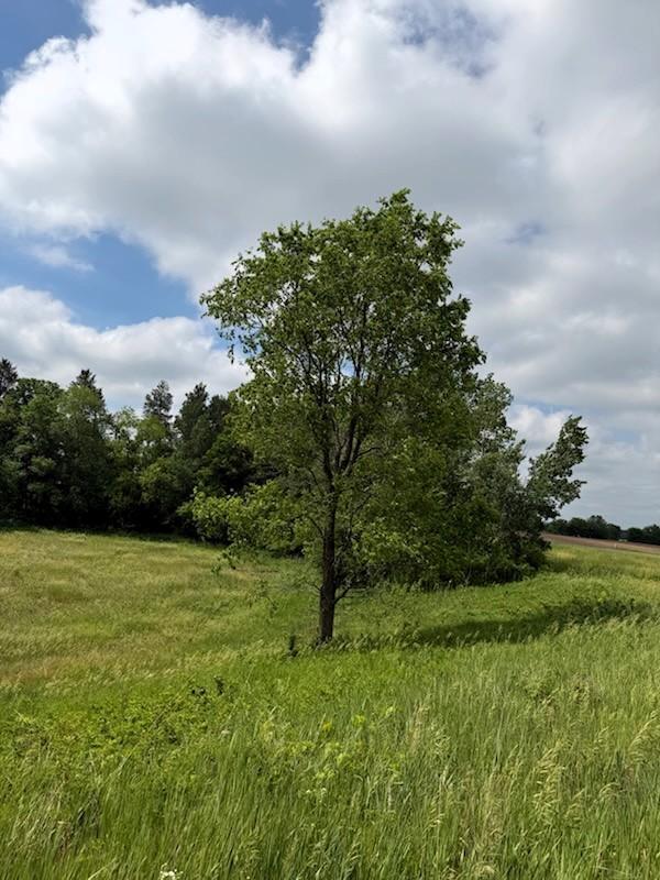 Lot 2 County Road Boyceville, WI 54725 - Photo 7 of 12