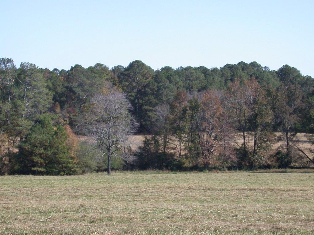 - Larkin Rice Road Saluda, SC 29138 - Photo 19 of 70