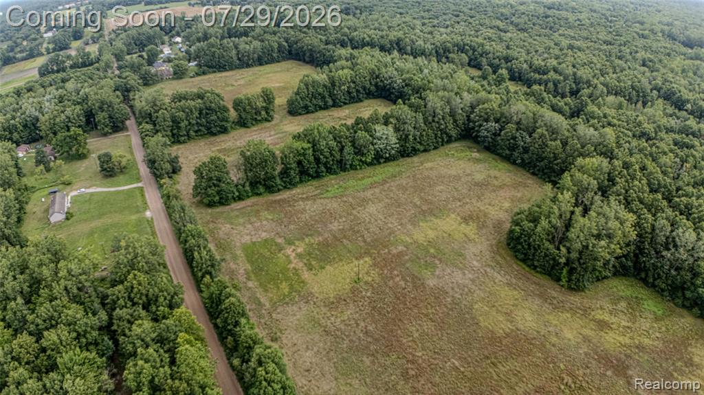 29209 Karr Road Belleville, MI 48111 - Photo 8 of 16 Gallery Image 8