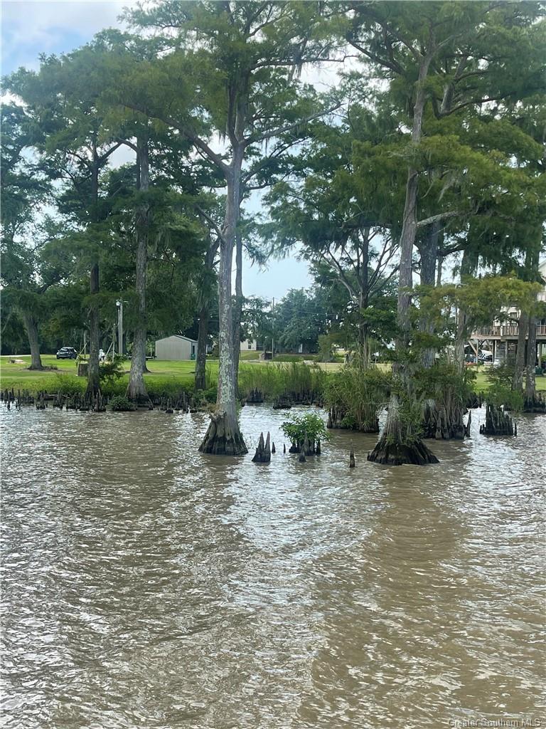 6903 South Lk Cv Road Gueydan, LA 70542 - Photo 2 of 4