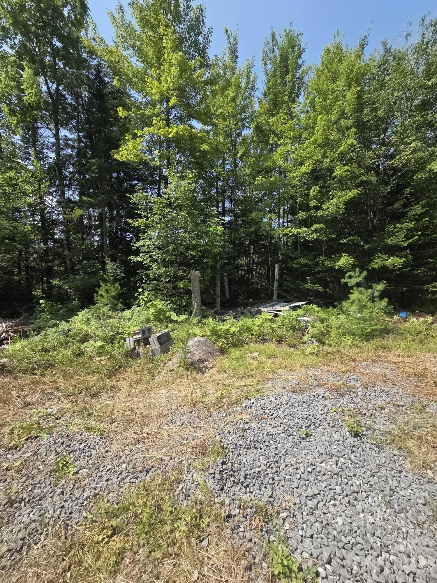1623 Silver Lake Road Au Sable Forks, NY 12912 - Photo 10 of 18 20250716_112345 (1)