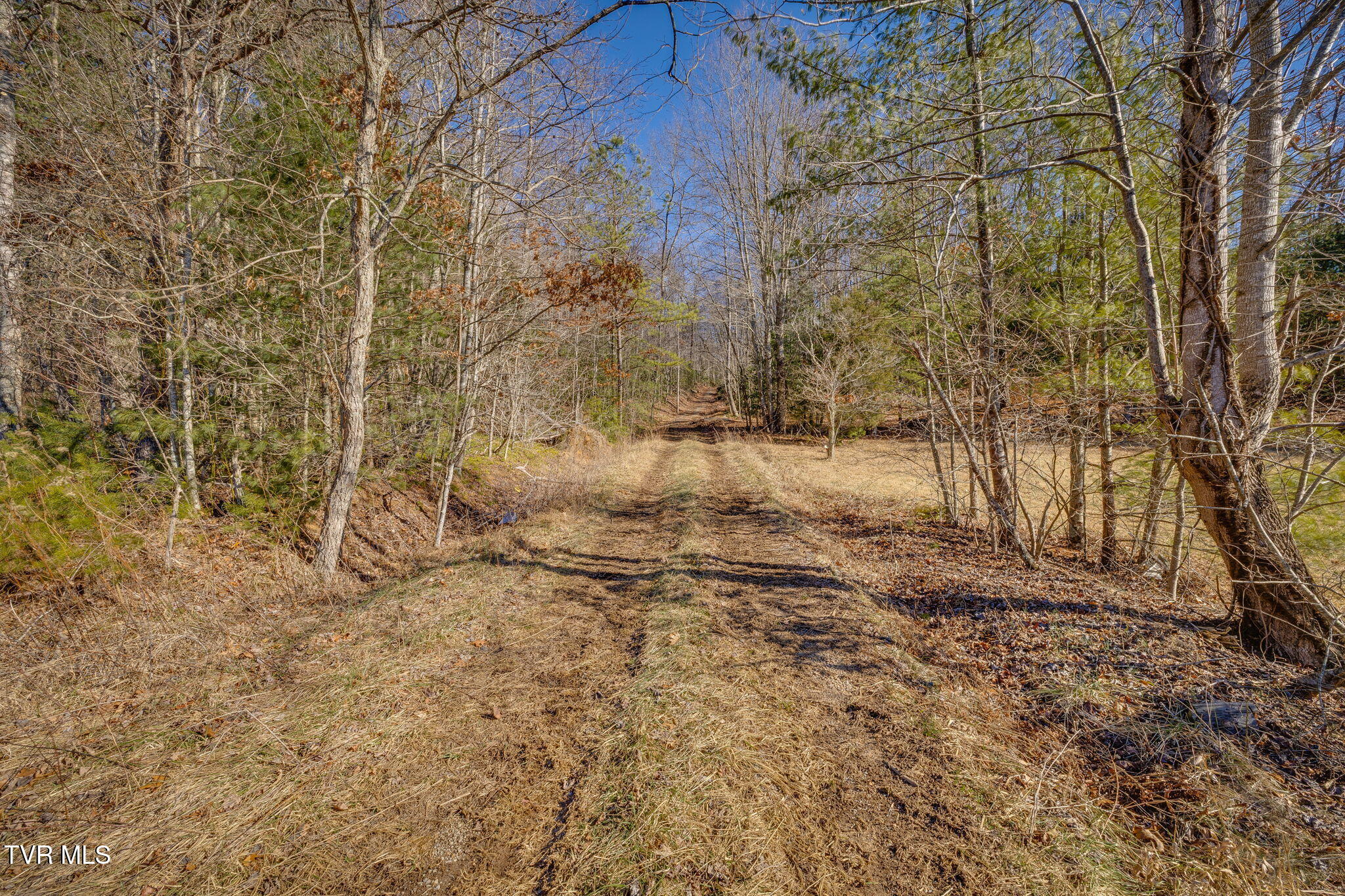 Tbd Scioto Road Unicoi, TN 37692 - Photo 14 of 17 102