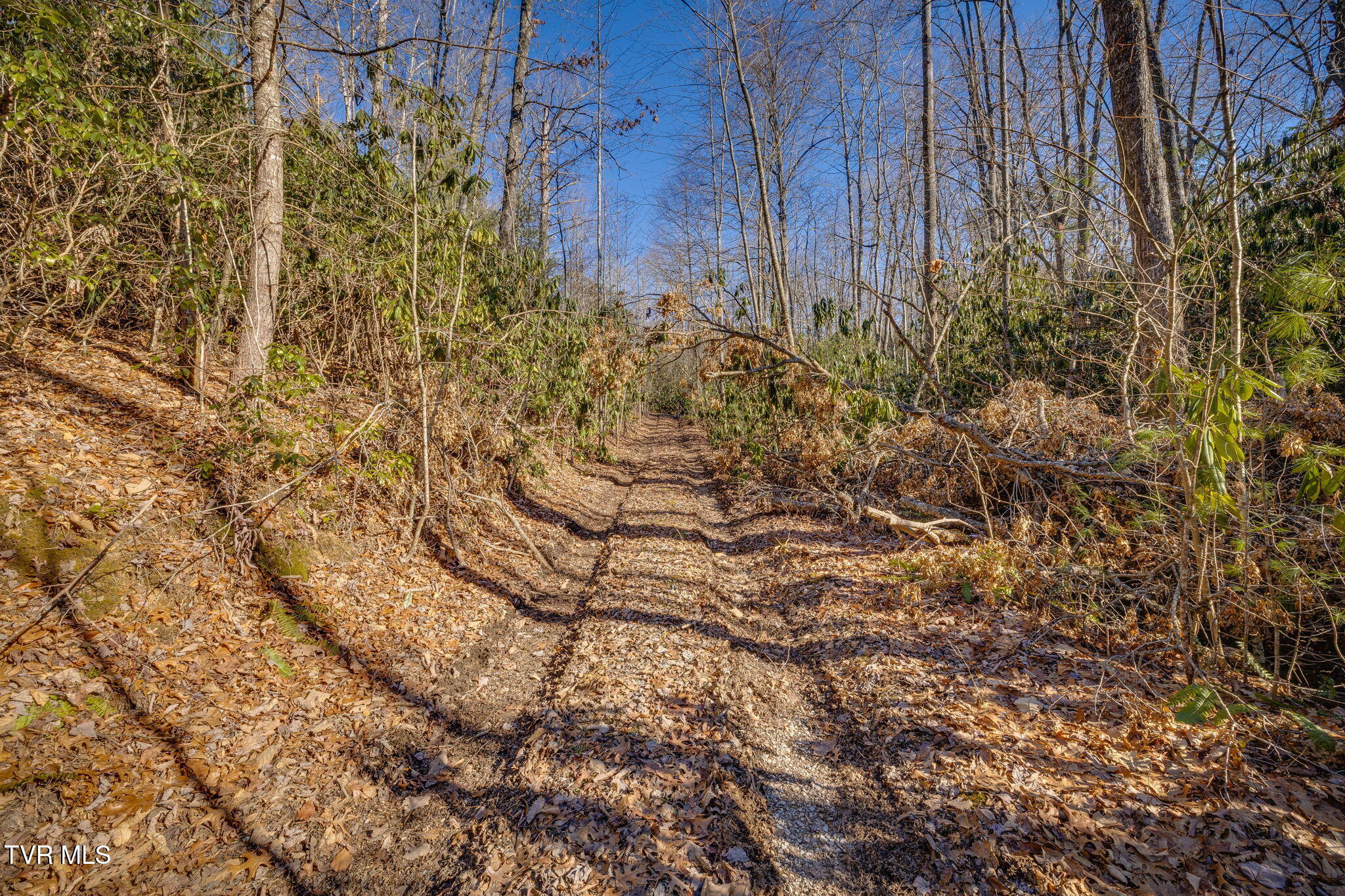 Tbd Scioto Road Unicoi, TN 37692 - Photo 15 of 17 103
