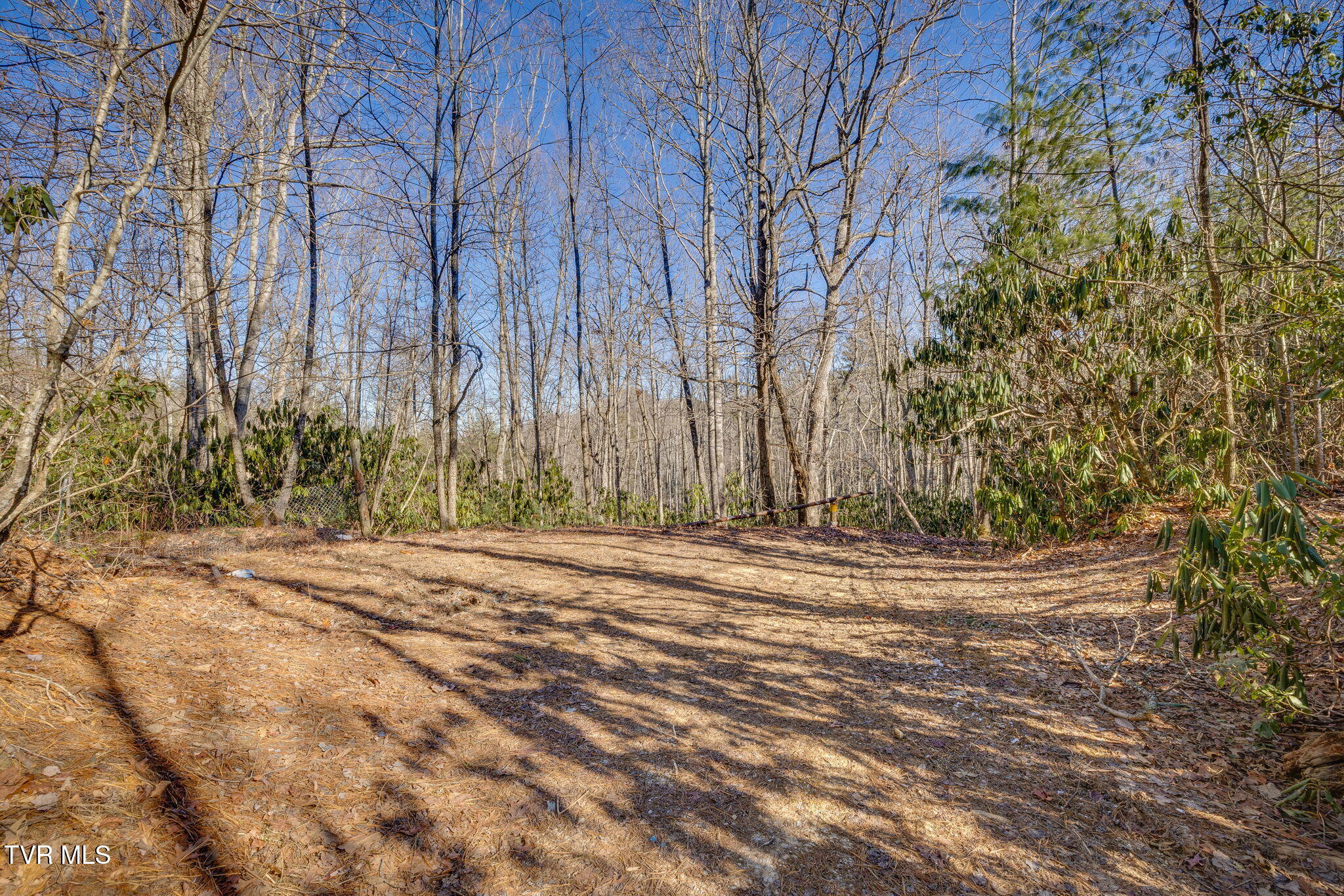 Tbd Scioto Road Unicoi, TN 37692 - Photo 16 of 17 104