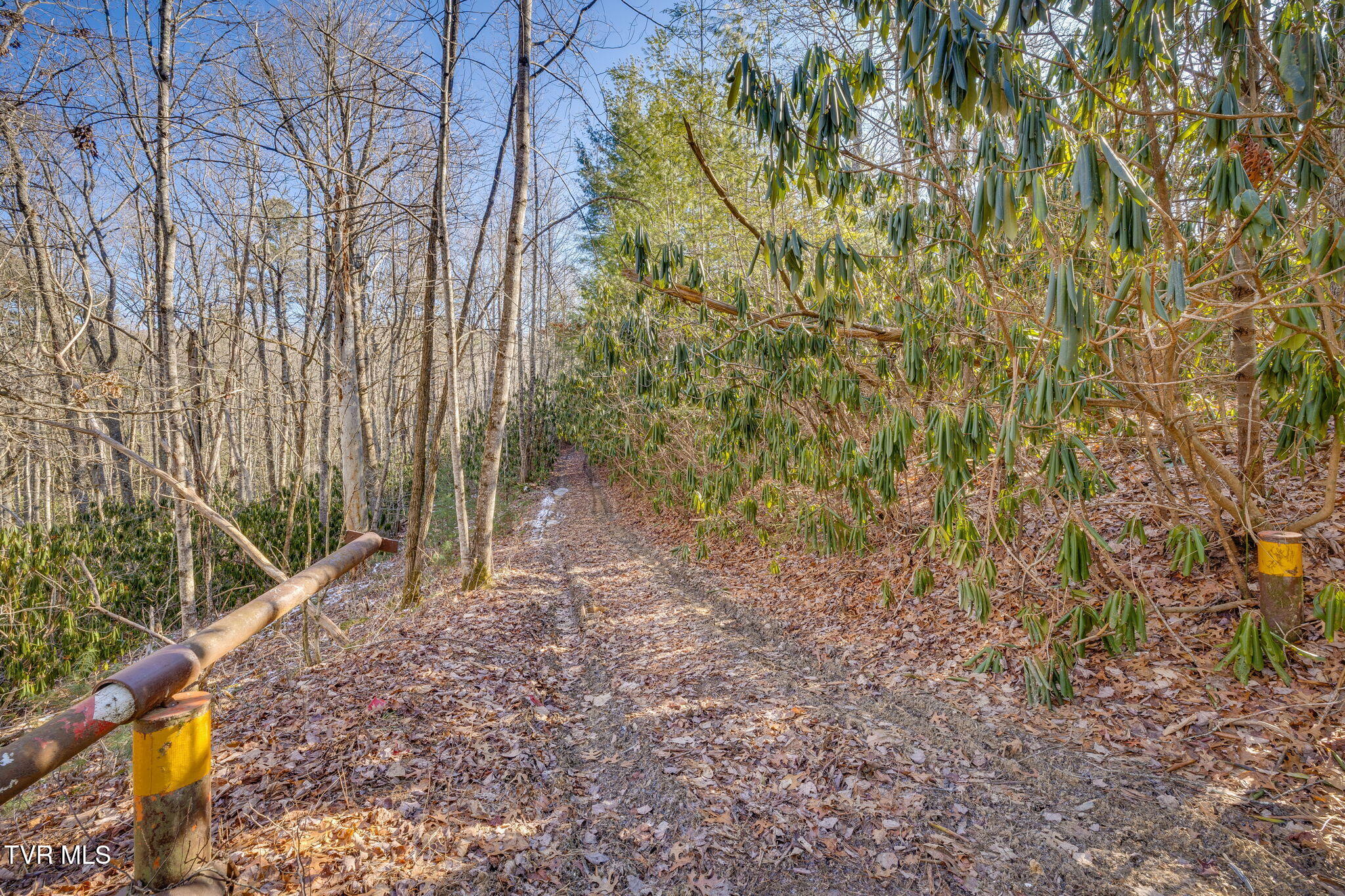 Tbd Scioto Road Unicoi, TN 37692 - Photo 17 of 17 105