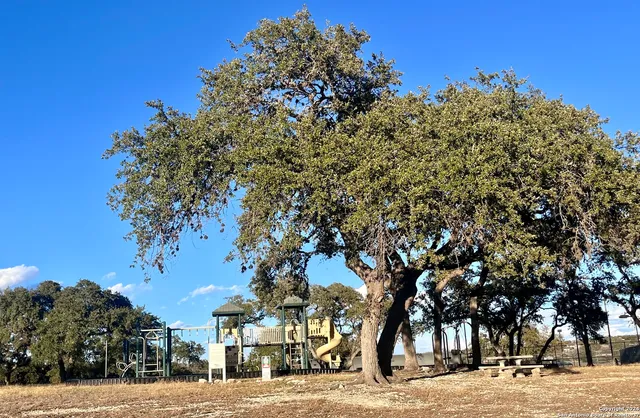 a view of a with large tree