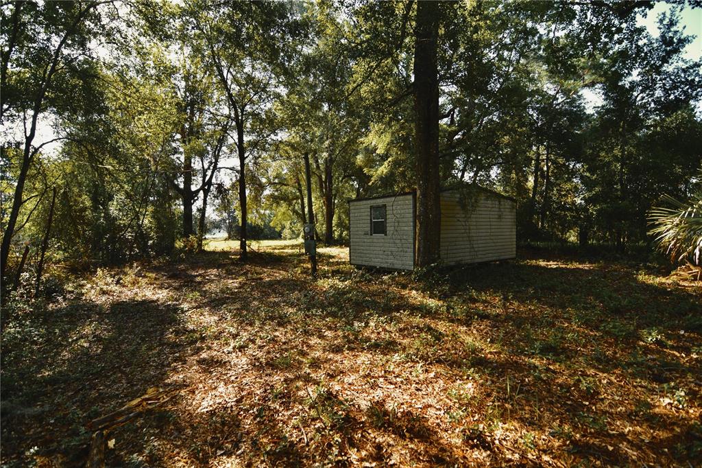 0 Hall Lake Road Keystone Heights, FL 32656 - Photo 12 of 39 Gallery Image 12