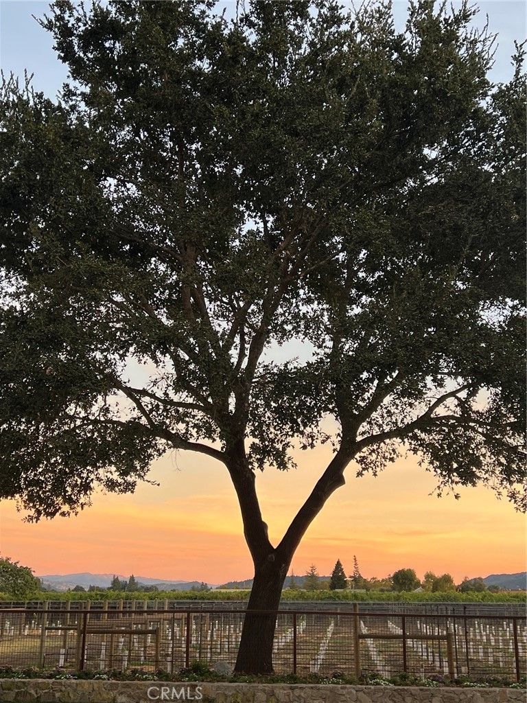 1125 Rutherford Road Napa, CA 94558 - Photo 44 of 44 Gallery Image 44
