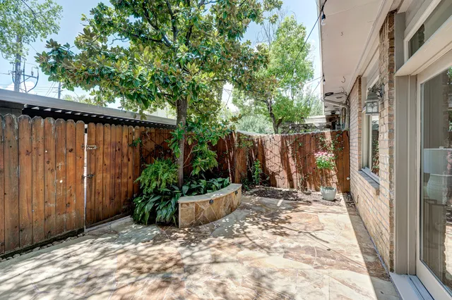 a view of a backyard with potted plants and large tree
