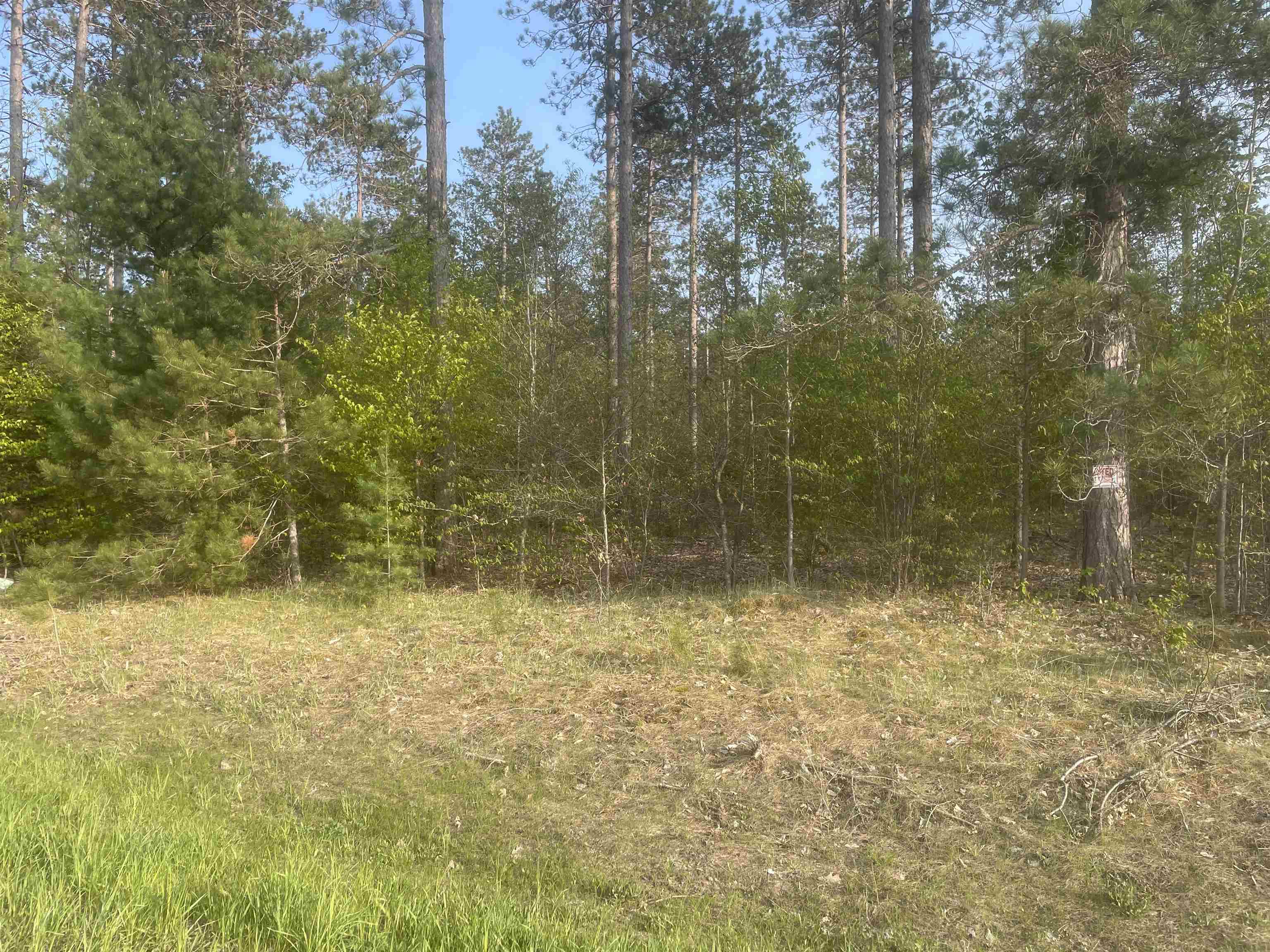 Lot H Lot H Riley, Unit LOT: H Interlochen, MI 49643 - Photo 1 of 6