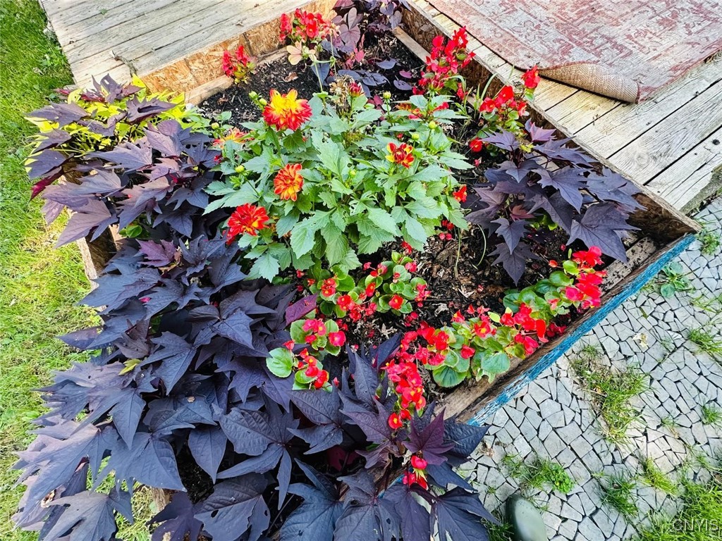 22 Samson Street Cortland, NY 13045 - Photo 12 of 15