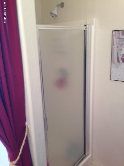 3804 South Conestoga Road Apache Junction, AZ 85119 - Photo 15 of 19 Shower Masterbath