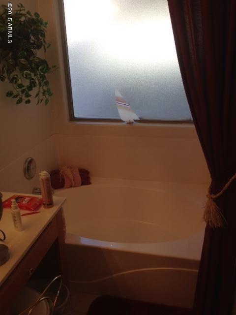 3804 South Conestoga Road Apache Junction, AZ 85119 - Photo 16 of 19 Soaking tub Masterbath
