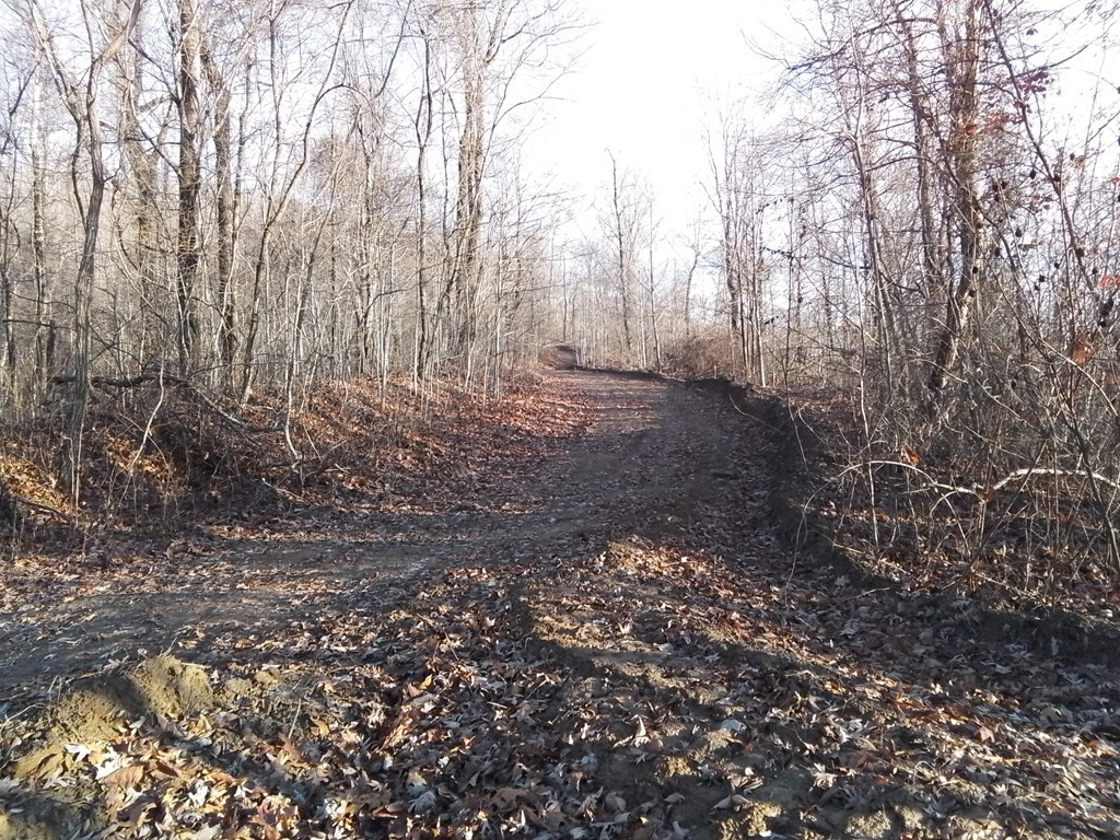 1500 Bear Mountain Road Murphy, NC 28906 - Photo 5 of 5