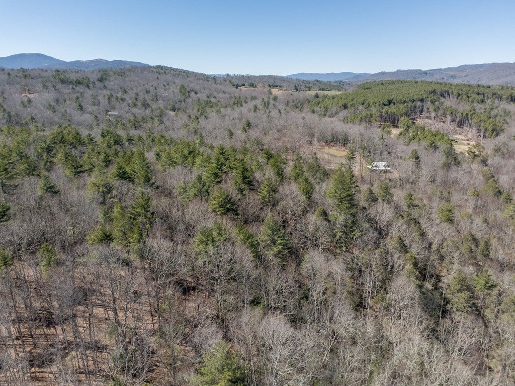 Lot 12 Ridge Line Trail, Unit 12 Independence, VA 24348 - Photo 43 of 66 Gallery Image 43