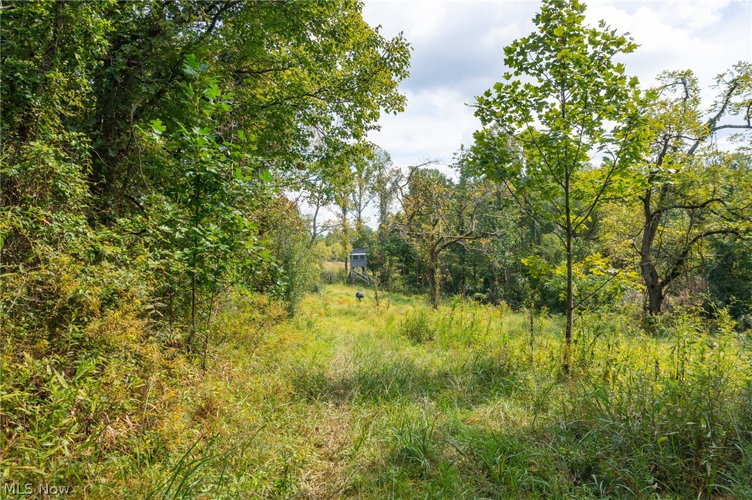 27339 Tabor Ridge Road, Unit 2 Caldwell, OH 43724 - Photo 29 of 50 Gallery Image 29