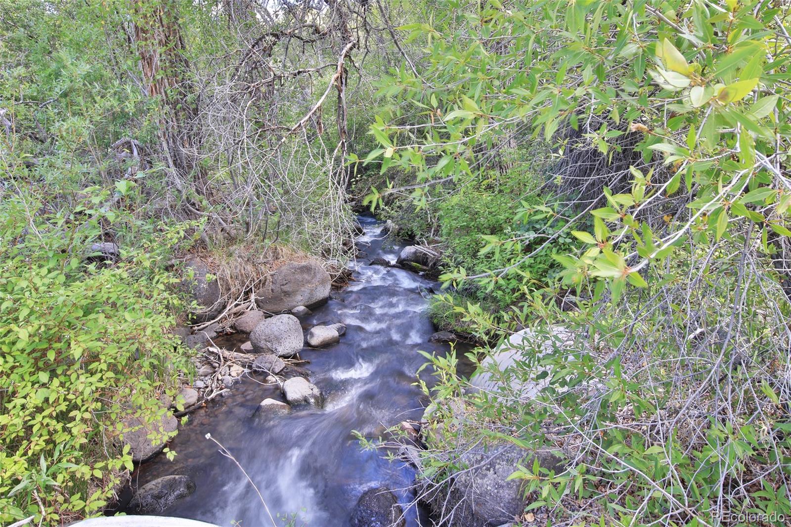 9681-56 56 2/10 Road Molina, CO 81646 - Photo 31 of 39 a view of a garden with a tree