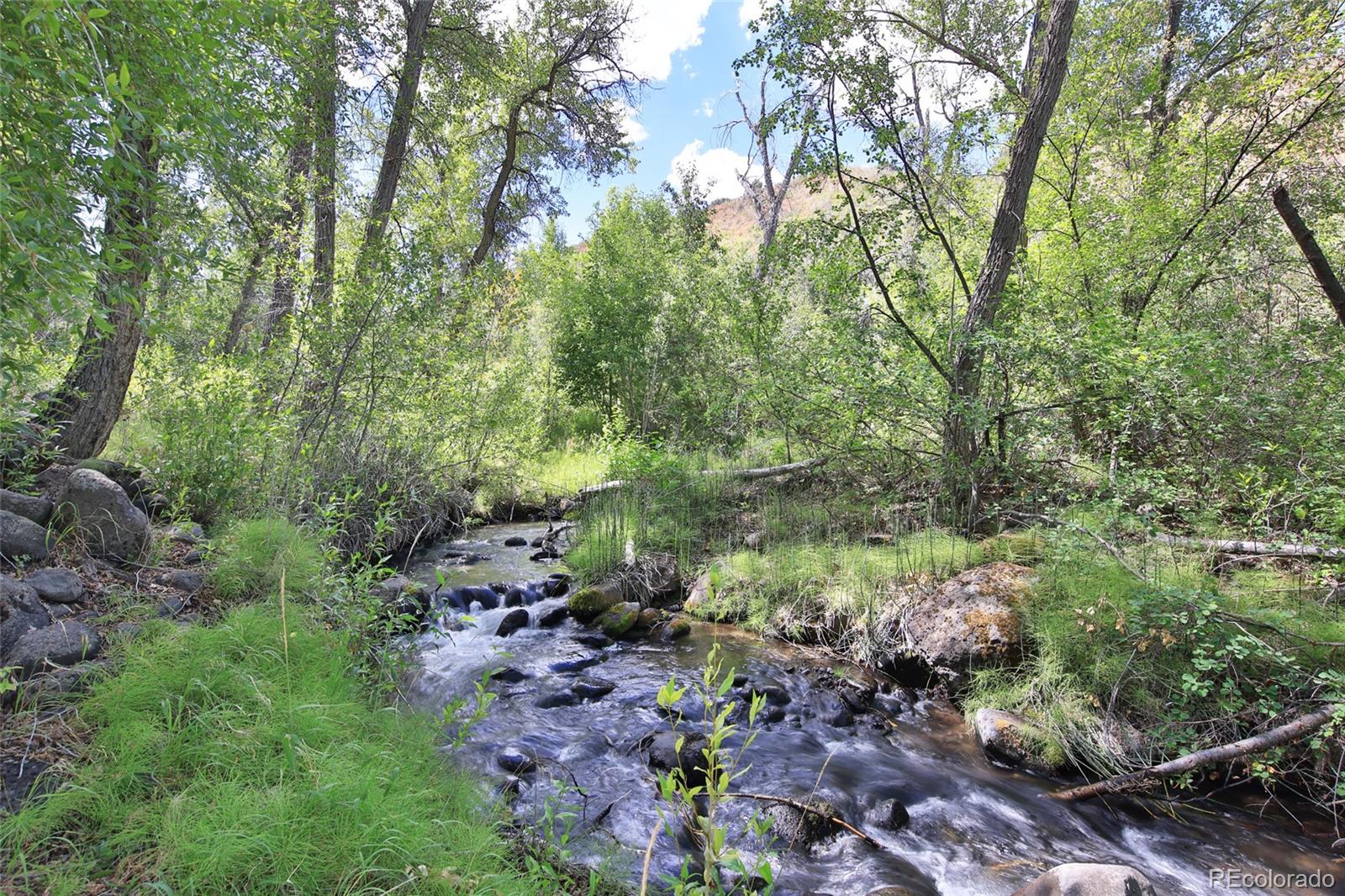 9681-56 56 2/10 Road Molina, CO 81646 - Photo 32 of 39 a view of a lush green forest with lots of trees