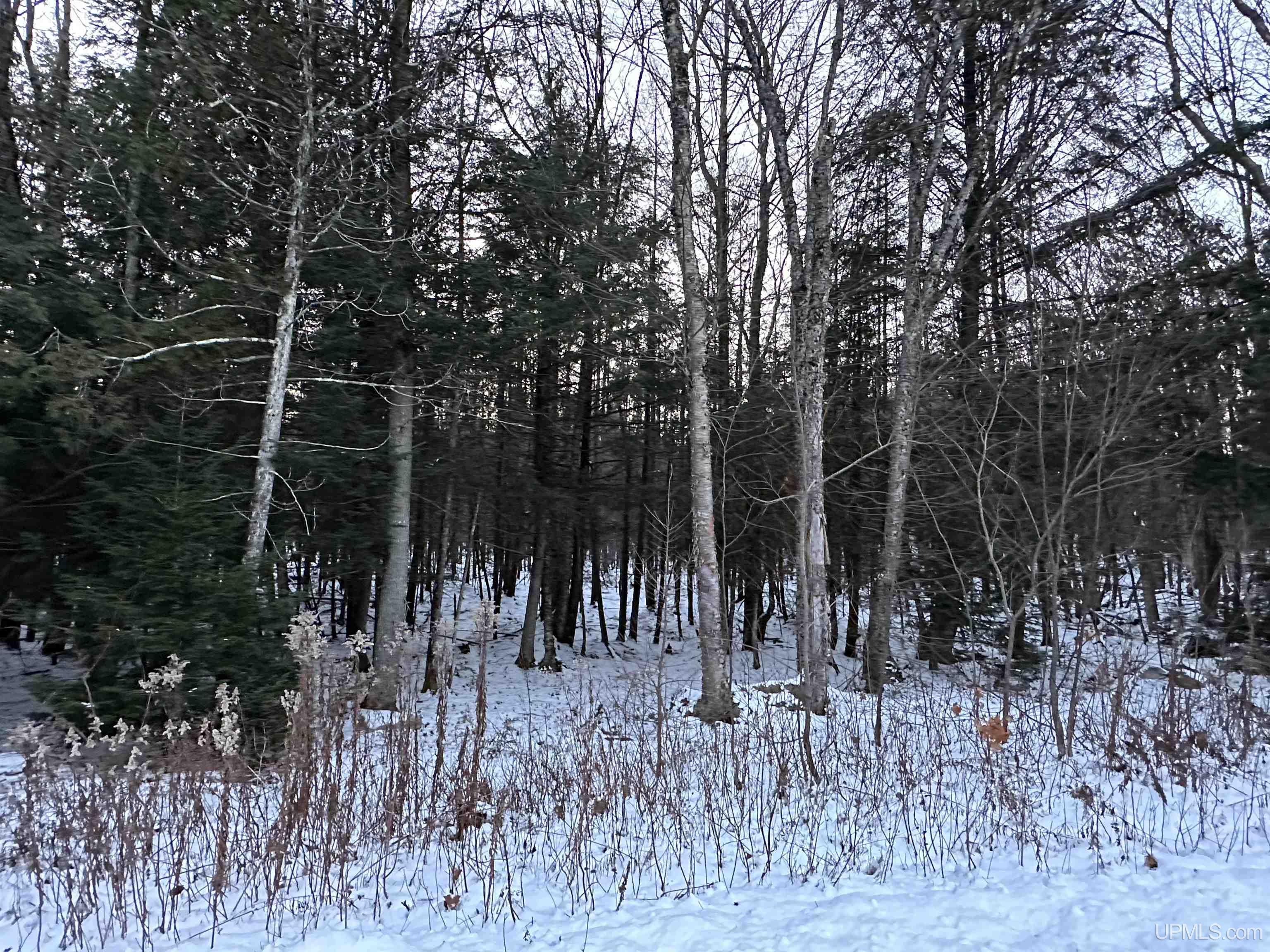 Lot 49 Hewitt Lane Mercer, WI 54547 - Photo 26 of 28 Gallery Image 26