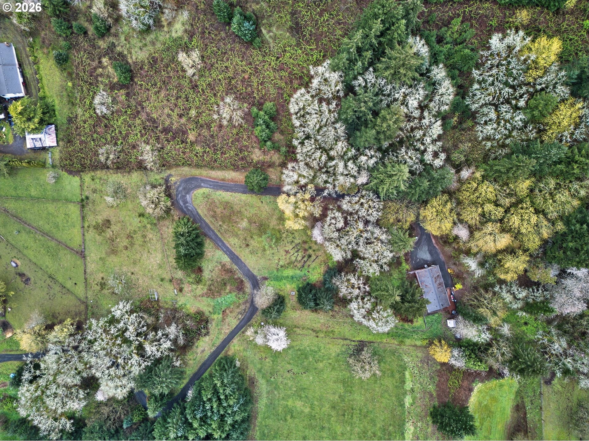 32895 Northeast Old Parrett Mountain Road Newberg, OR 97132 - Photo 45 of 48 a view of a garden with plants and a bench