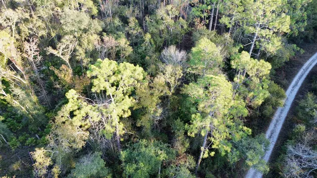 $35,000 | 465 Northeast River Ridge Way, Lee, FL 32059