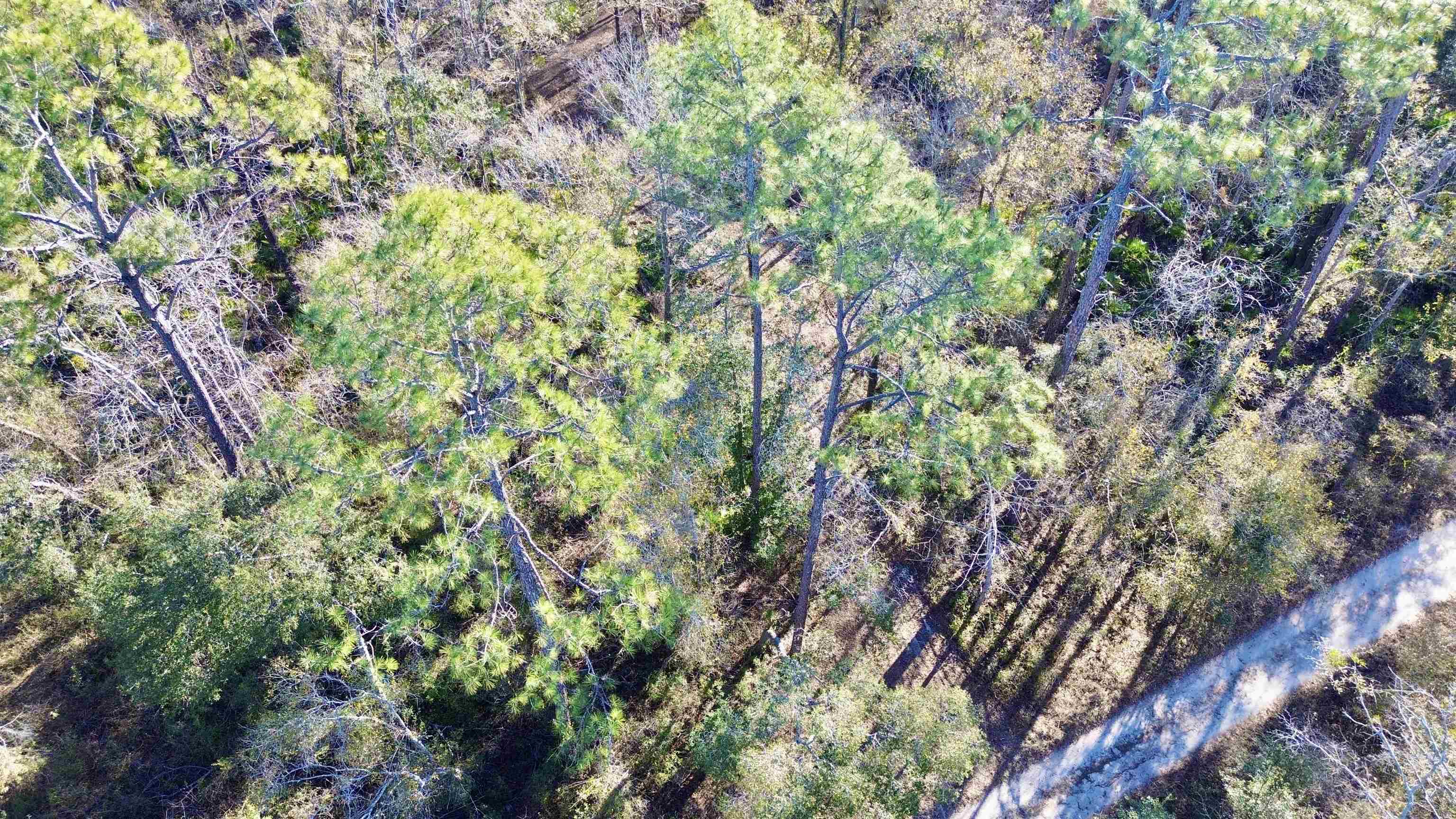 465 Northeast River Ridge Way Lee, FL 32059 - Photo 11 of 30