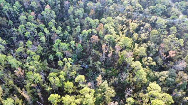 $35,000 | 465 Northeast River Ridge Way, Lee, FL 32059