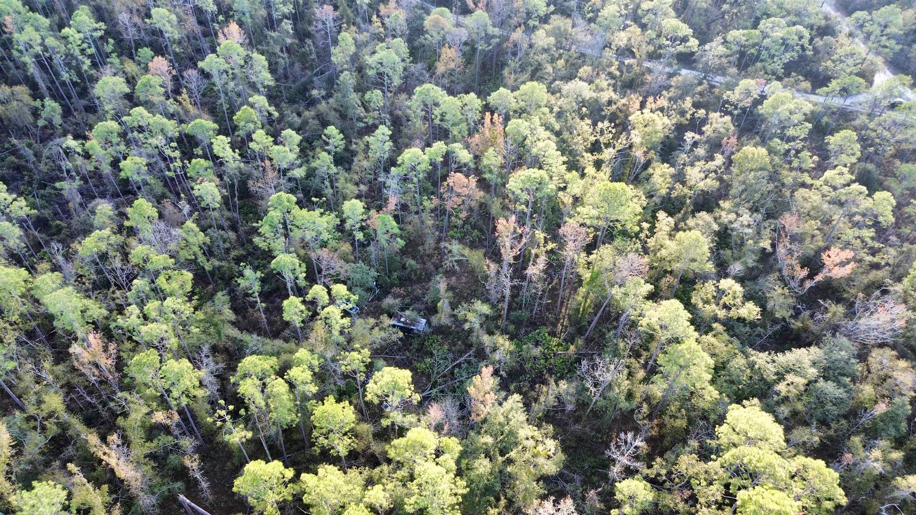 465 Northeast River Ridge Way Lee, FL 32059 - Photo 11 of 31