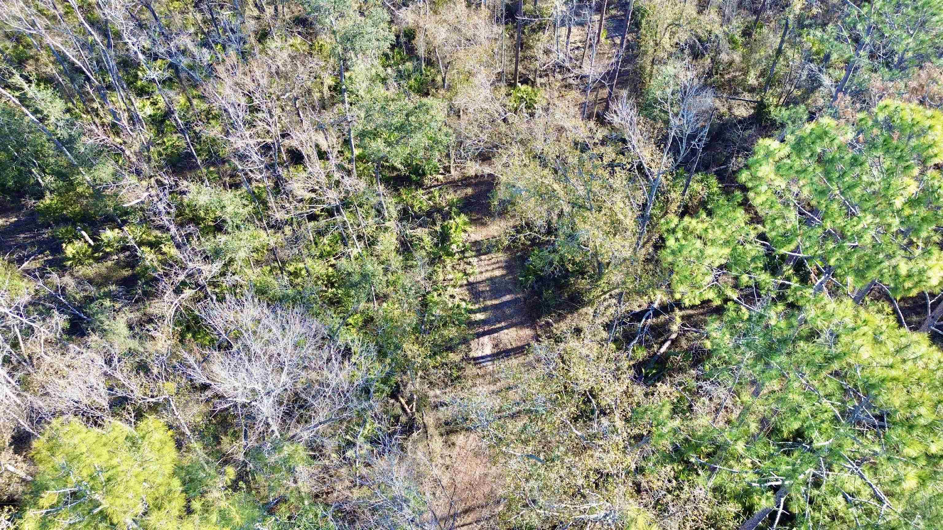 465 Northeast River Ridge Way Lee, FL 32059 - Photo 12 of 30