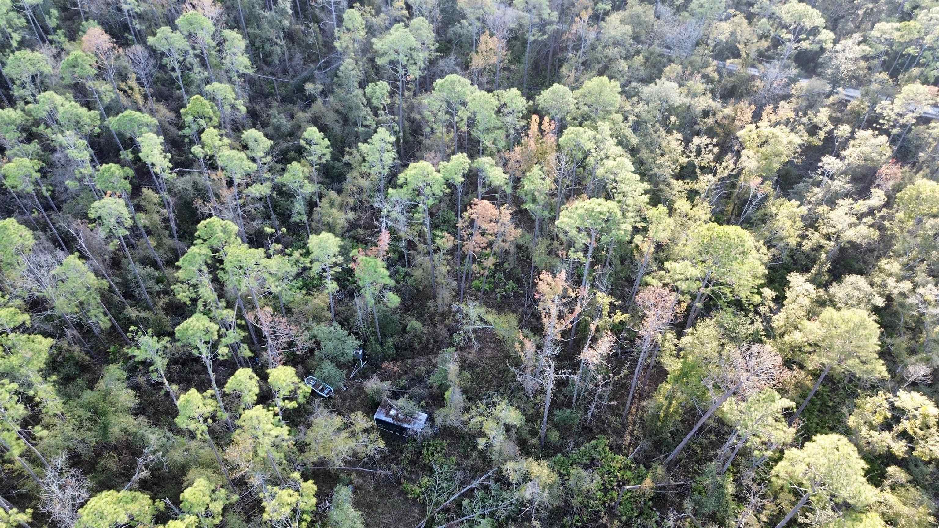 465 Northeast River Ridge Way Lee, FL 32059 - Photo 12 of 31